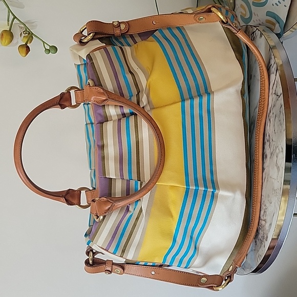 Rare Brahmin stripes canvas 2 way - Picture 3 of 8